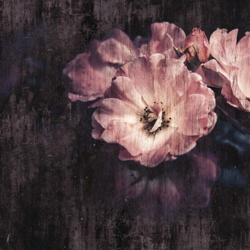 Pembe Çiçek Buketi Duvar Kağıdı PİX22B