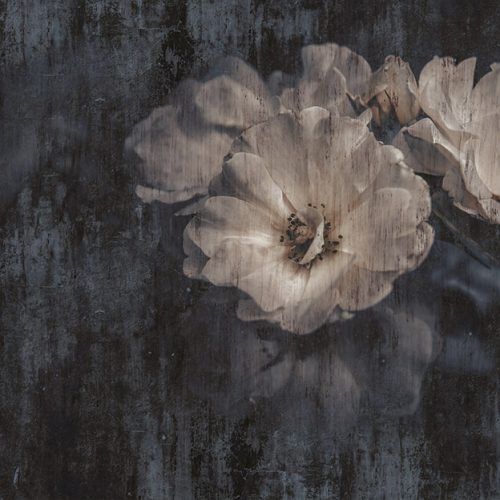 Pembe Çiçek Buketi Duvar Kağıdı PİX22C