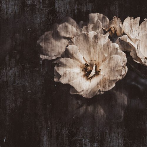 Pembe Çiçek Buketi Duvar Kağıdı PİX22D