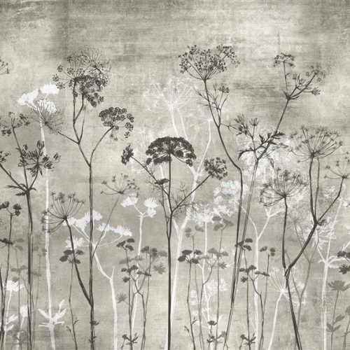 Gri Karahindiba Çiçeği Duvar Kağıdı PİX39A