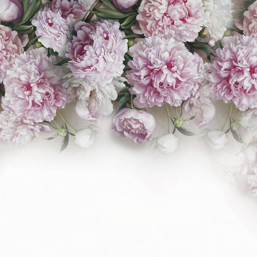 Pembe Gül Dalı Duvar Kağıdı W6627