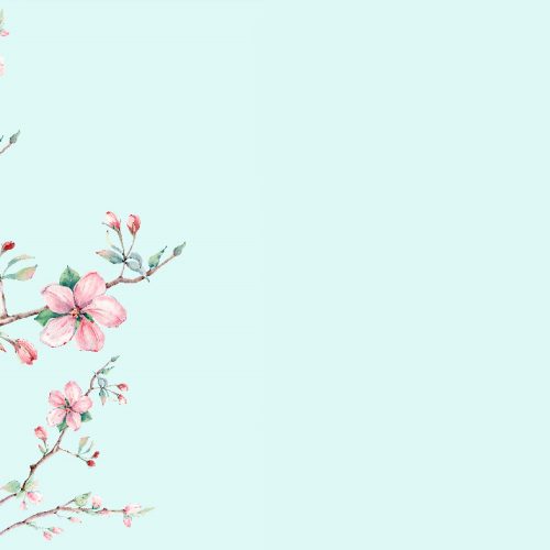 Pembe Bahar Dalı Gökyüzü Duvar Kağıdı W6638