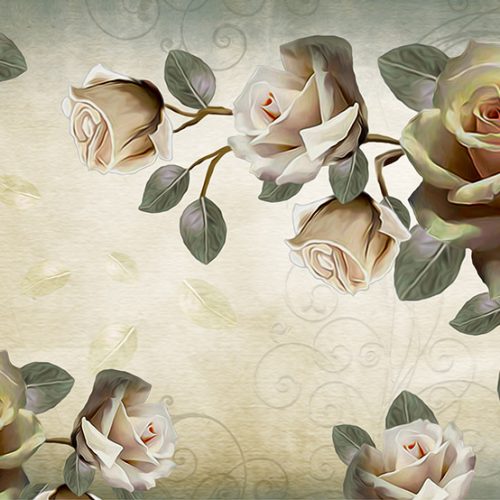 Beyaz Gül Duvar Kağıdı W6679
